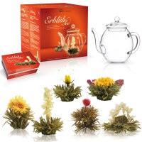 Geschenkset Teeblumen mit Teekanne, weißer Tee